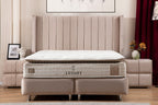 Lit Coffre TOKYO BEIGE - Velours