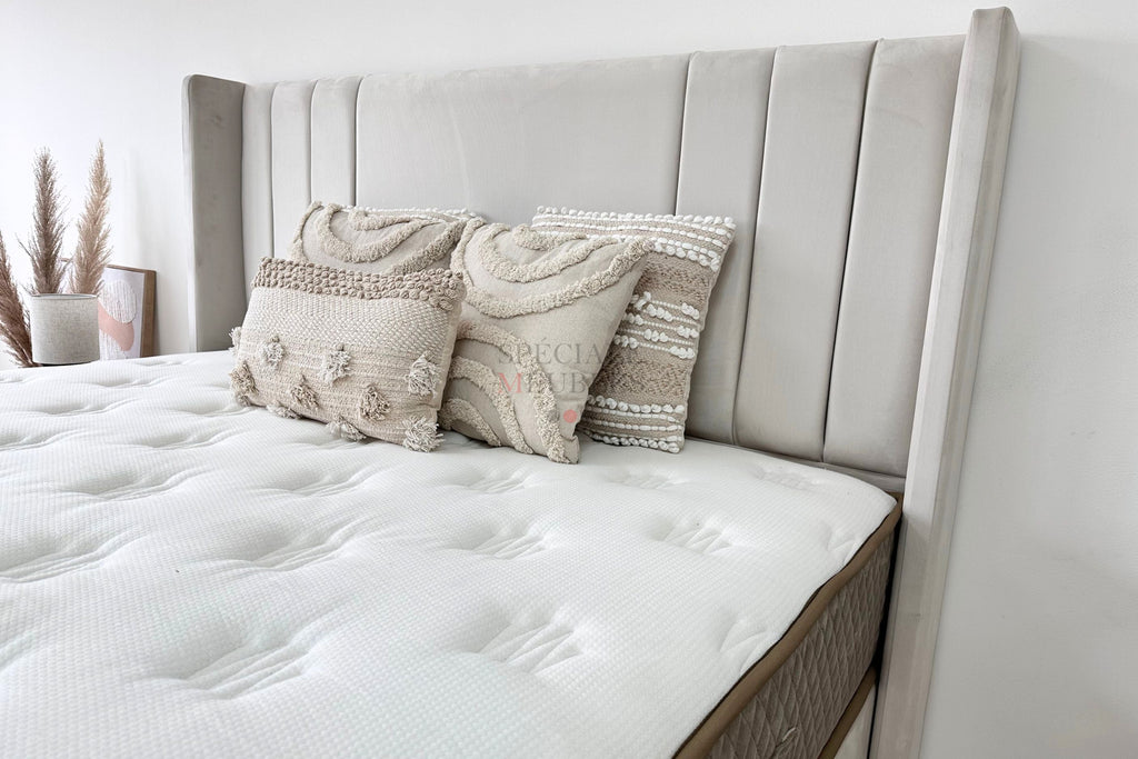 Lit Coffre ALMA BLANC CASSE - Velours