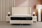 Lit Coffre BIANCA BLANC CASSE - Velours